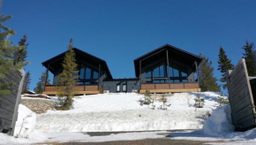 Ruka Twin 3 bedroom Villa with Jacuzzi by Rukalodges Ruka